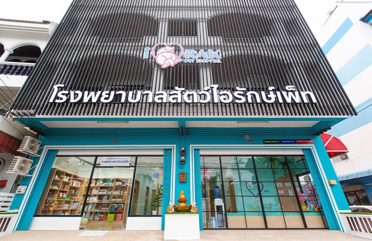 Walking spots for dogs in Phuket
