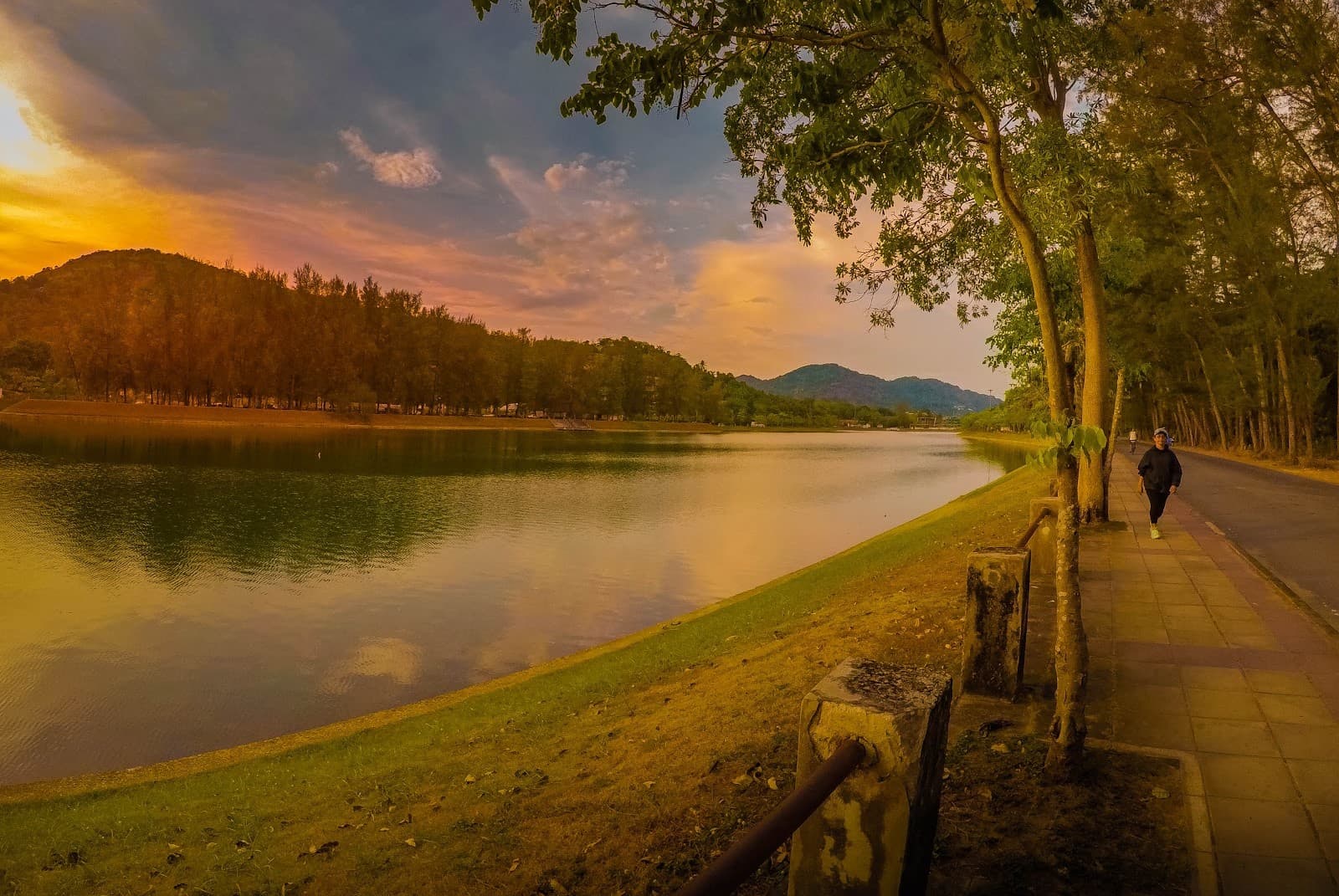 Dog-friendly Phuket: where to walk, eat out, and what residents actually need to know