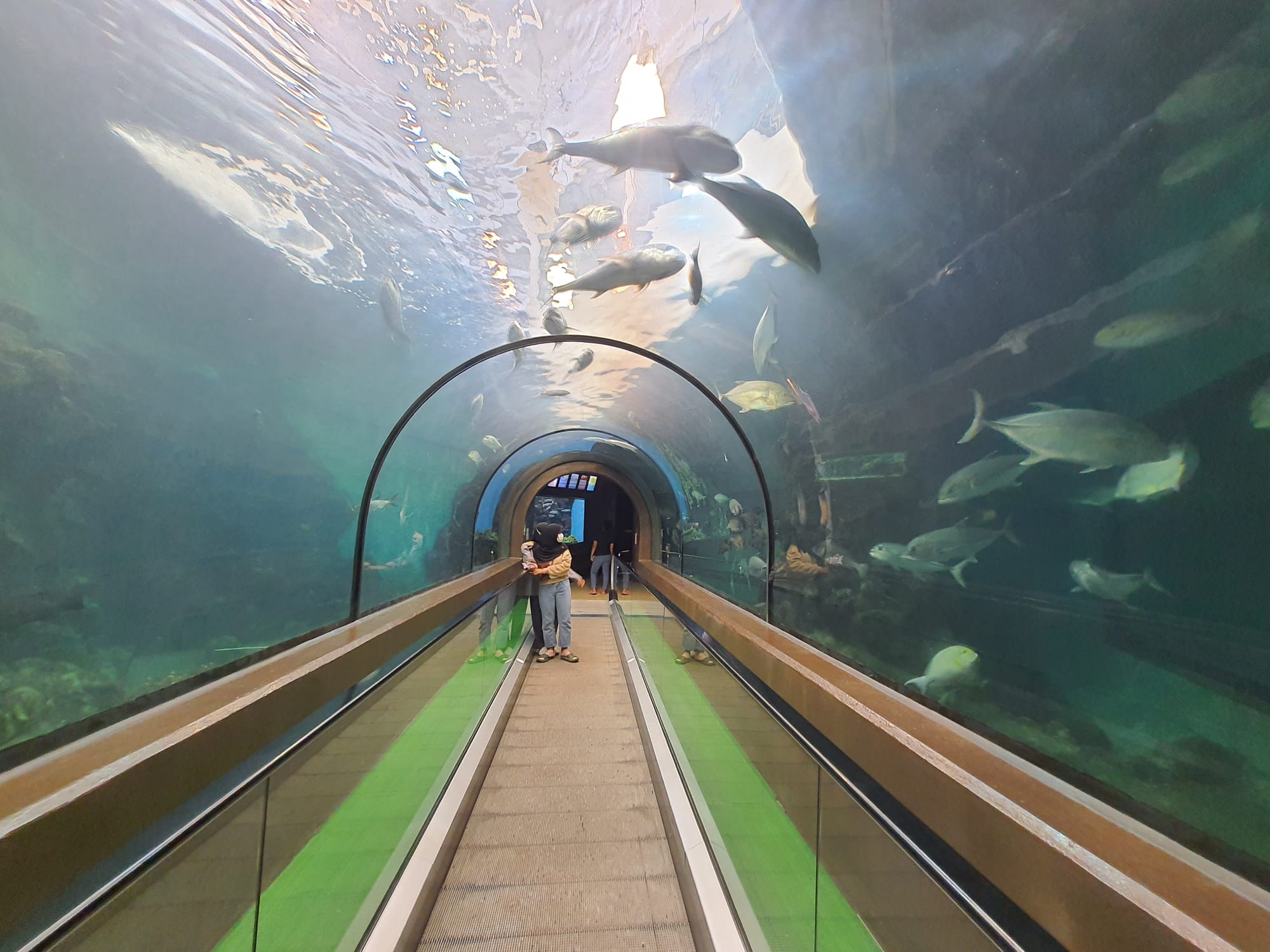 phuket aquarium tunnel