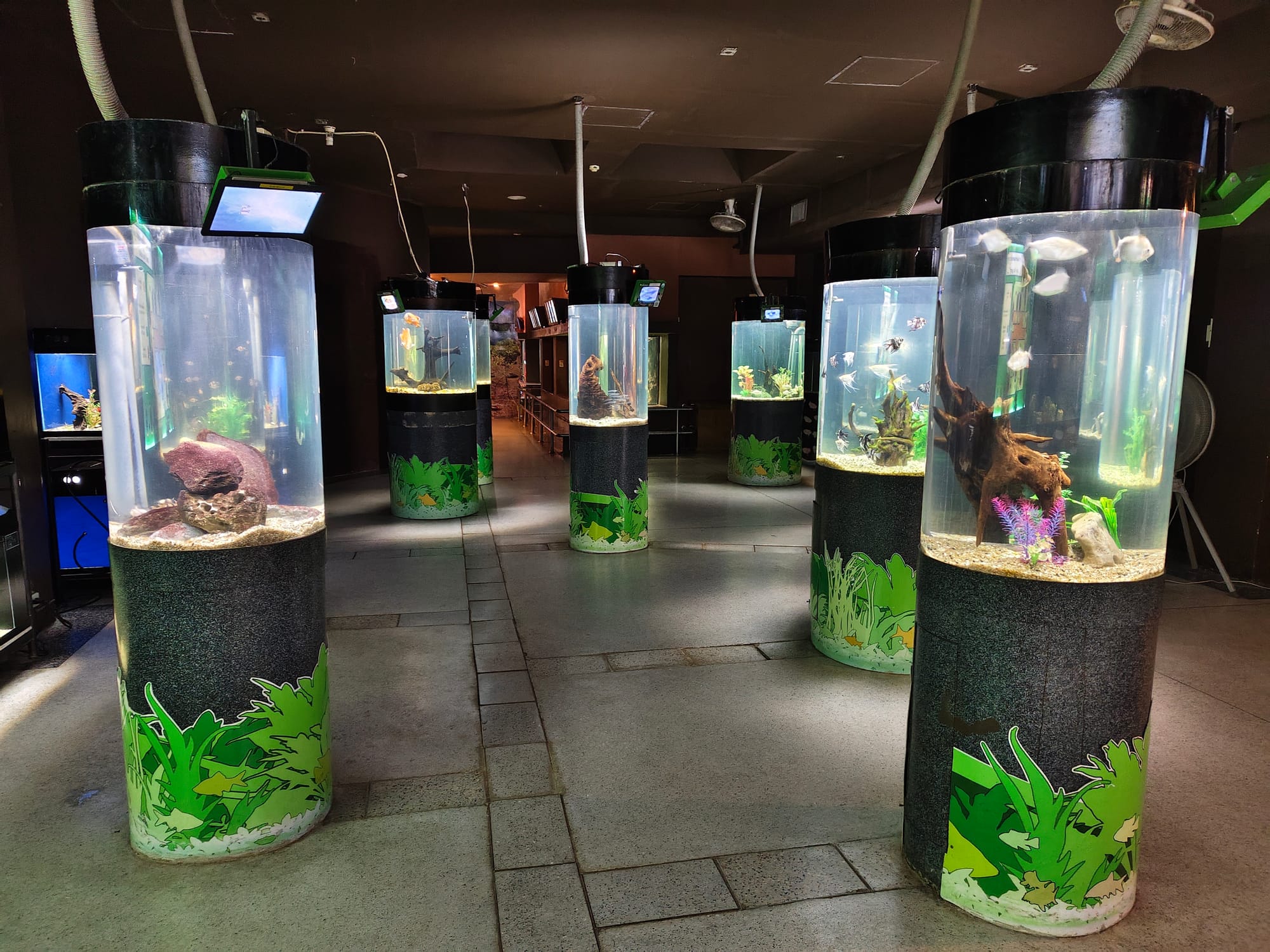 phuket aquarium guide