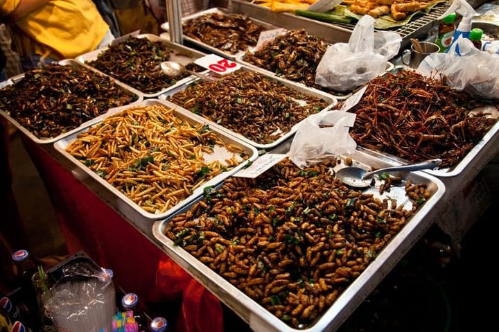 Weird Street Food in Phuket